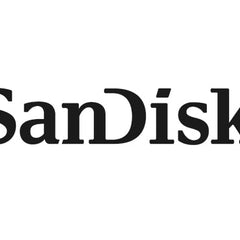 Collection image for: SanDisk