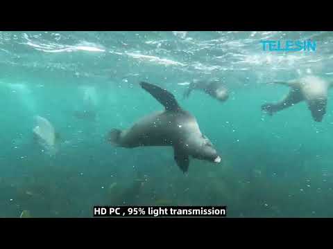 Telesin Waterproof Underwater Dive Case for DJI Osmo Action 5 Pro, 4, 3 Cameras OA-WTP-003